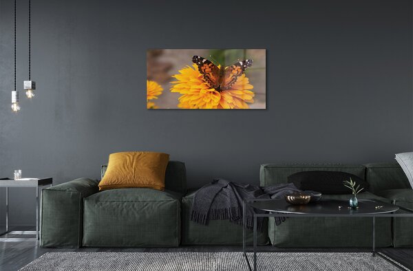 Sklenený obraz Farebný motýľ kvetina 100x50 cm 2 Prívesky