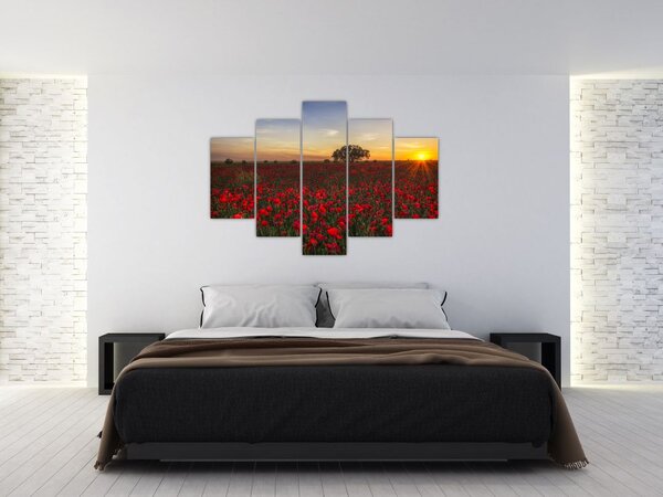 Obraz lúky s vlčími makmi (150x105 cm)