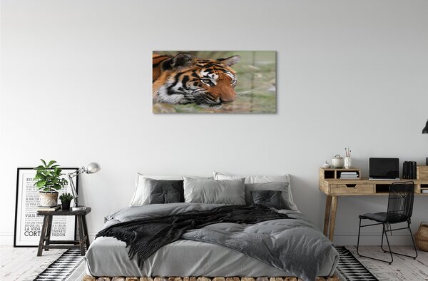 Sklenený obraz Tiger Woods 100x50 cm 2 Prívesky