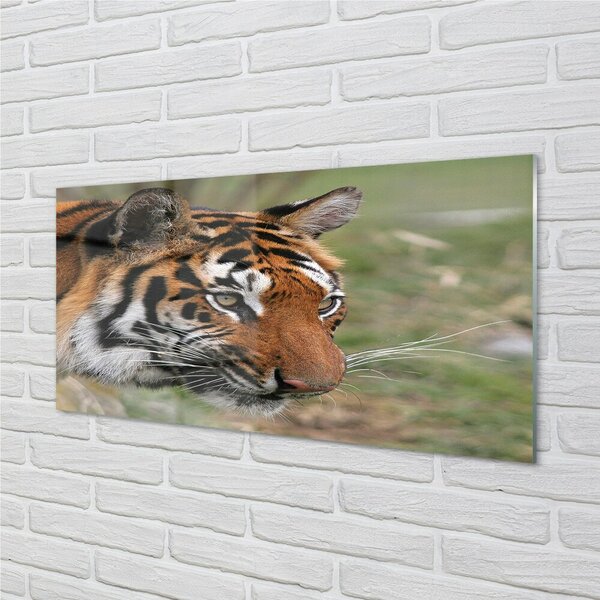 Sklenený obraz Tiger Woods 100x50 cm 2 Prívesky