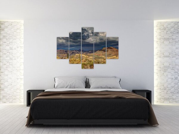 Obraz - kaktusy v prírode (150x105 cm)