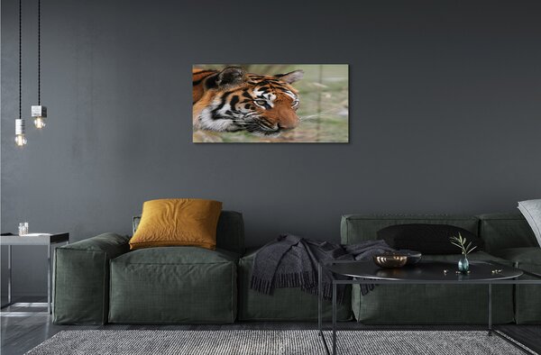 Sklenený obraz Tiger Woods 100x50 cm 2 Prívesky