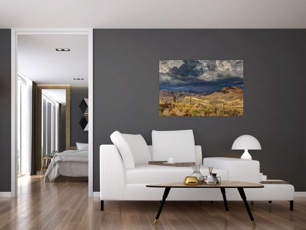 Obraz - kaktusy v prírode (90x60 cm)