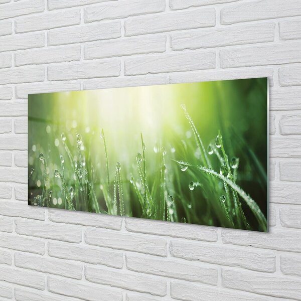 Obraz na skle Tráva slnko kvapky 100x50 cm 2 Prívesky