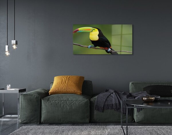 Sklenený obraz Farebné papagáj na vetve 100x50 cm 2 Prívesky