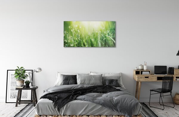 Obraz na skle Tráva slnko kvapky 100x50 cm 2 Prívesky