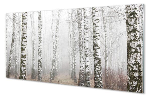 Sklenený obraz hmla breza 100x50 cm 2 Prívesky