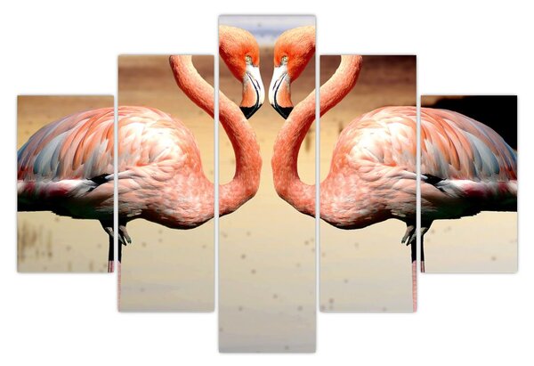 Obraz - dva plameniaky (150x105 cm)