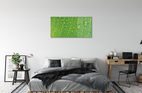Obraz na skle Kvapky list makro 100x50 cm 2 Prívesky