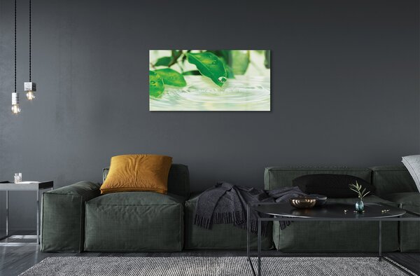 Obraz na skle Kvapky vody lístia 100x50 cm 2 Prívesky