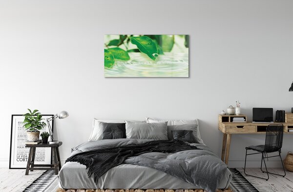 Obraz na skle Kvapky vody lístia 100x50 cm 2 Prívesky