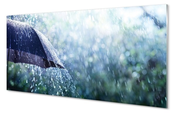 Obraz na skle Umbrella dažďovej kvapky 100x50 cm 2 Prívesky