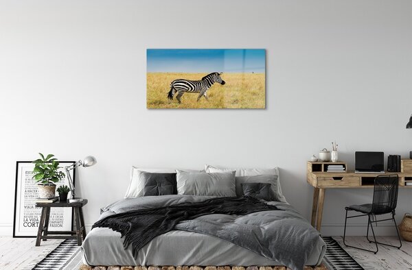 Sklenený obraz Zebra box 100x50 cm 2 Prívesky