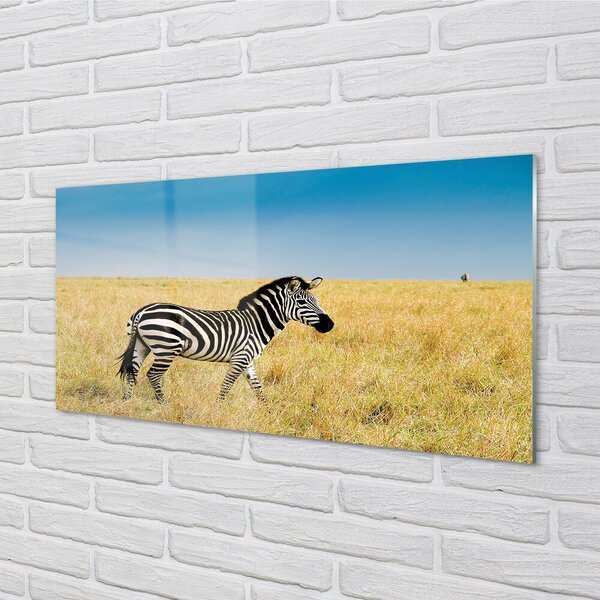 Sklenený obraz Zebra box 100x50 cm 2 Prívesky