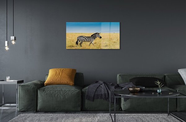 Sklenený obraz Zebra box 100x50 cm 2 Prívesky
