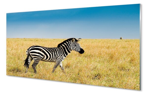 Sklenený obraz Zebra box 100x50 cm 2 Prívesky
