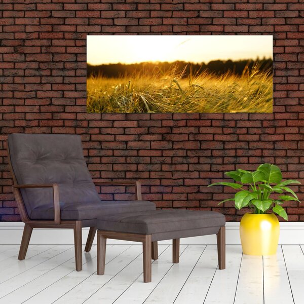 Obraz orosenej trávy (120x50 cm)