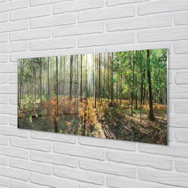 Sklenený obraz les breza 100x50 cm 2 Prívesky