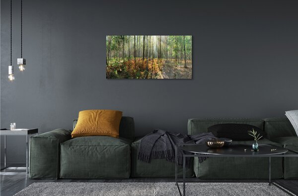 Sklenený obraz les breza 100x50 cm 2 Prívesky