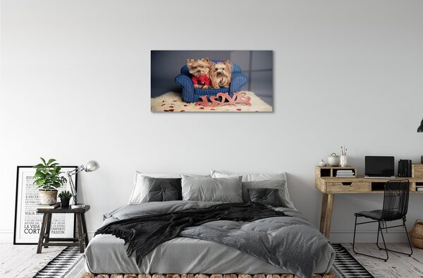 Sklenený obraz yorkie 100x50 cm 2 Prívesky
