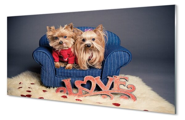 Sklenený obraz yorkie 100x50 cm 2 Prívesky
