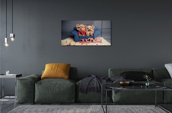 Sklenený obraz yorkie 100x50 cm 2 Prívesky