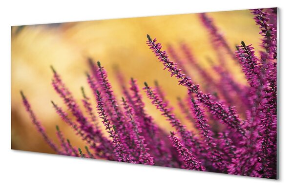 Sklenený obraz kvety 100x50 cm 2 Prívesky