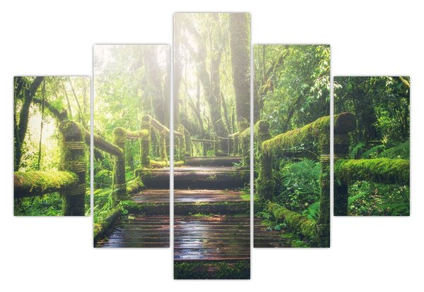 Obraz - drevené schody v lese (150x105 cm)