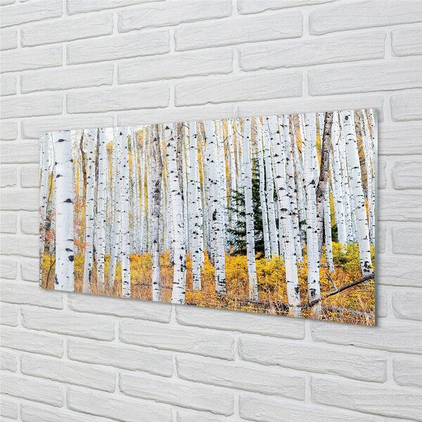 Sklenený obraz jesene breza 100x50 cm 2 Prívesky