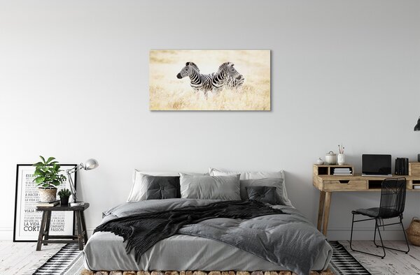 Sklenený obraz zebra box 120x60 cm 2 Prívesky