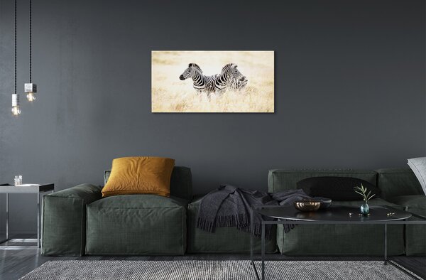 Sklenený obraz zebra box 120x60 cm 2 Prívesky