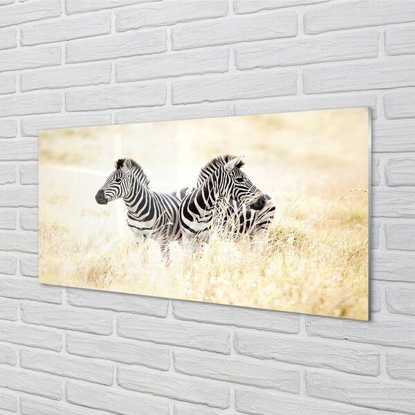 Sklenený obraz zebra box 120x60 cm 2 Prívesky