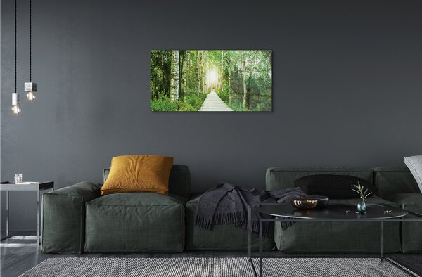 Sklenený obraz Breza lesná cesta 100x50 cm 2 Prívesky