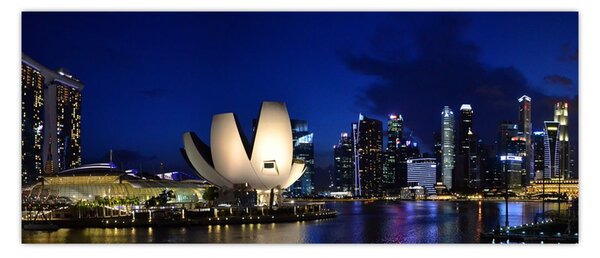 Obraz nočného Singapuru (120x50 cm)