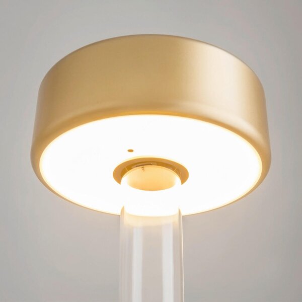 NABÍJATEĽNÁ STOLNÁ LAMPA, dotykový stmievač, 12/34,8 cm MAYTONI - Online Only bytové doplnky, Online Only