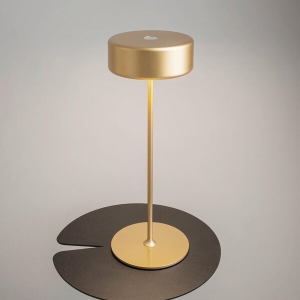 NABÍJATEĽNÁ STOLNÁ LAMPA, dotykový stmievač, 12/34,5 cm MAYTONI - Online Only bytové doplnky, Online Only