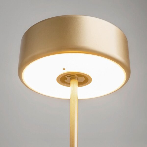 NABÍJATEĽNÁ STOLNÁ LAMPA, dotykový stmievač, 12/34,5 cm MAYTONI - Online Only bytové doplnky, Online Only