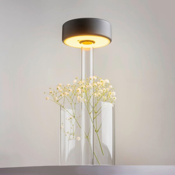 NABÍJATEĽNÁ STOLNÁ LAMPA, dotykový stmievač, 12/34,8 cm MAYTONI - Online Only bytové doplnky, Online Only