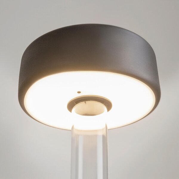 NABÍJATEĽNÁ STOLNÁ LAMPA, dotykový stmievač, 12/34,8 cm MAYTONI - Online Only bytové doplnky, Online Only