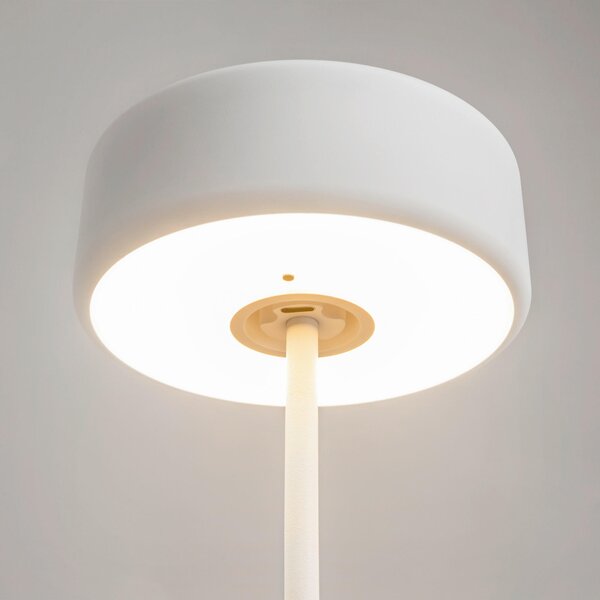 NABÍJATEĽNÁ STOLNÁ LAMPA, dotykový stmievač, 12/34,5 cm MAYTONI - Online Only bytové doplnky, Online Only