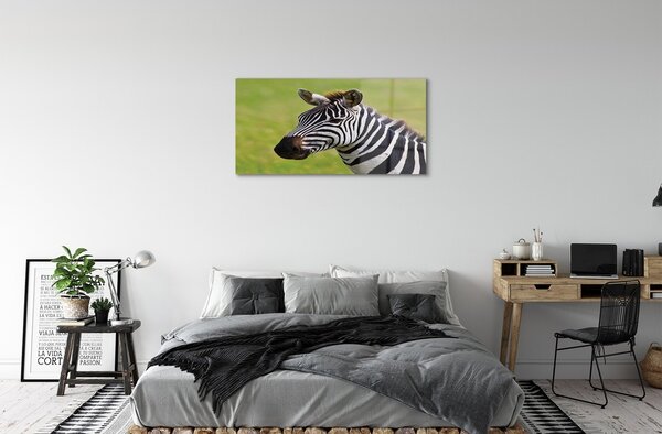 Sklenený obraz zebra 100x50 cm 2 Prívesky