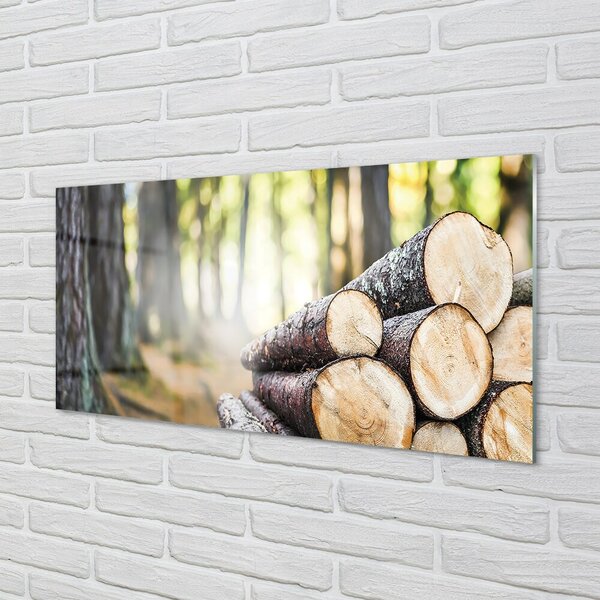 Obraz na skle Drevo prales prírode 100x50 cm 2 Prívesky