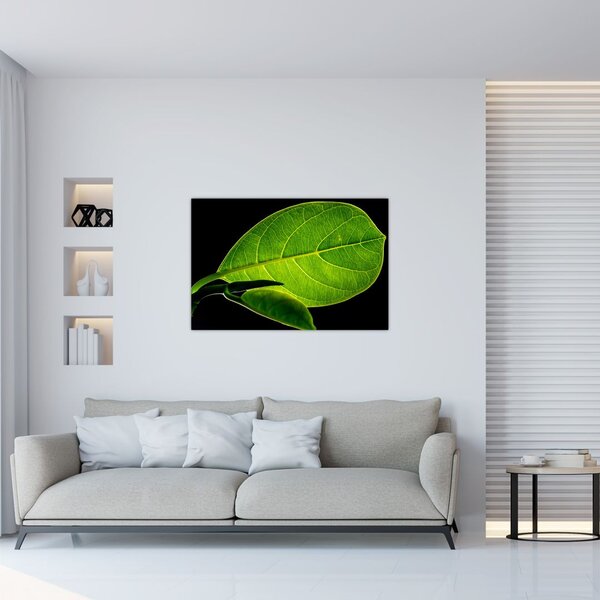 Obraz - zelený list (90x60 cm)