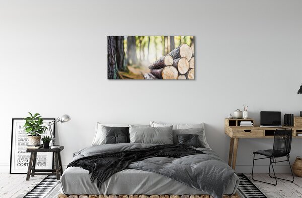 Obraz na skle Drevo prales prírode 100x50 cm 2 Prívesky