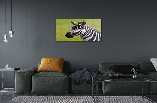 Sklenený obraz zebra 100x50 cm 2 Prívesky