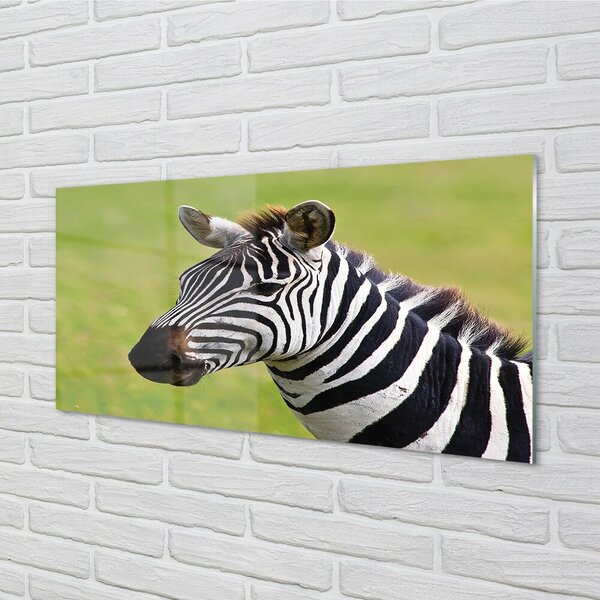 Sklenený obraz zebra 100x50 cm 2 Prívesky