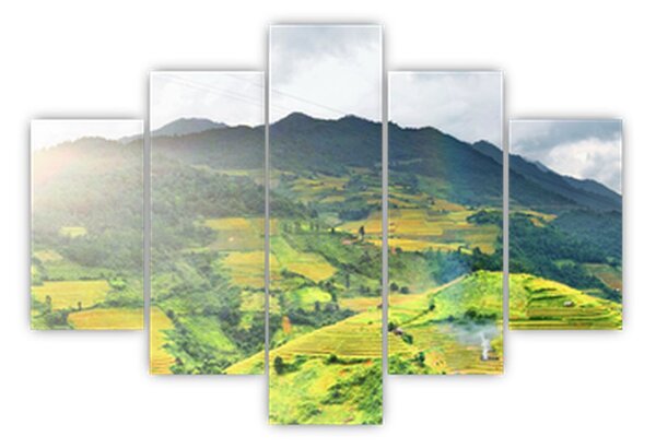 Obraz plantáže (150x105 cm)