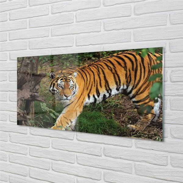 Sklenený obraz Tiger Woods 100x50 cm 2 Prívesky