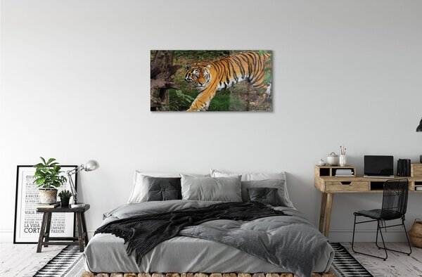 Sklenený obraz Tiger Woods 100x50 cm 2 Prívesky