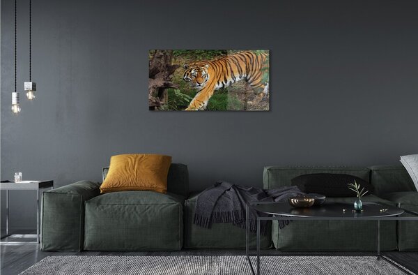 Sklenený obraz Tiger Woods 100x50 cm 2 Prívesky